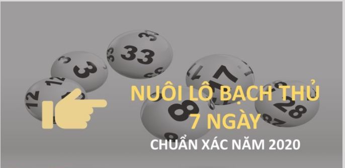 lô nuôi khung 7 ngày là gì? cách đánh hiệu quả chỉ dành cho cao thủ